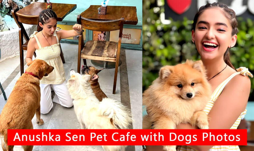 Anushka Sen Pet Cafe Images With Dogs Check Here 2021